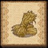 Dried Wheat