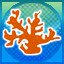 Find corals!