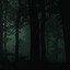 deep forest death