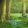 Into the woods