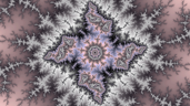 Polarization