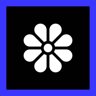 Blooming Flowers