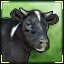 Moo!