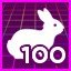 Bunny Hill