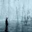 Through the swamps
