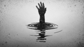 Diary: Back from the brink 