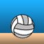 Volleyball Victory