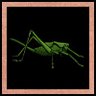 Newbie Is That A Bug
