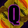 NEW_ACHIEVEMENT_NAME_31_31