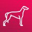 Greyhound