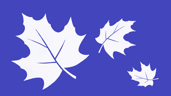 Autumn at finest