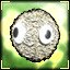 Wool Worth