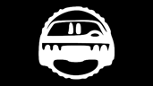 Car enthusiast 2