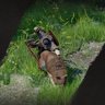 Ultimate Hunter