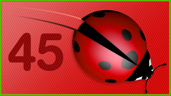 Some ladybugs