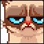 Grumpy Cat