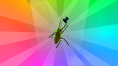 Disco Roach