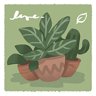 Tiny Plant Shop
