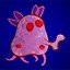 Jellyflot