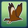 Take flight!