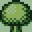 Mysterious Seeds