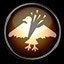3 birds