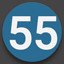 55 Points