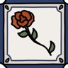 The roses