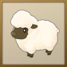 Get a sheep