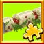 Unique Cracker Complete!