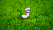Sock Getter