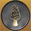 The First Morel