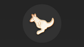 You are not a kangaroo