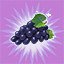 Exploded Corn and Squashed Grapes
