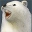 Spirit Bear