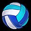 VOLLEYBALL CHAMP!