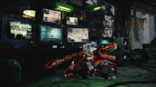 The Hatchery's Secret