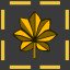 Major