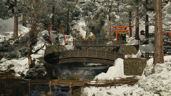 Purify Okumiyama Passage