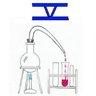 I1 Trophy: Botany Lab Caves 5
