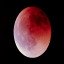 BloodMoon