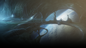 Terminal Velocity