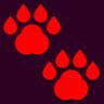 Animal Tracks