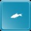 African Banded Barb