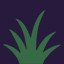 Plant Herbs
