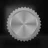 Home Race (Silver)
