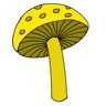 I3 Trophy: Yellow Mushroom