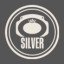 Silver belt