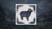 The Sheep Whisperer