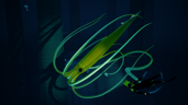 Kraken